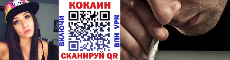 ссылка на мегу как войти  Знаменск  КОКАИН Fish Scale  магазин  наркотиков 