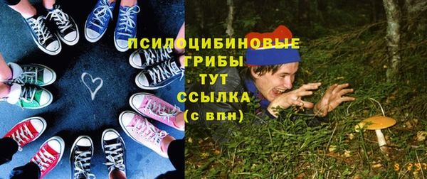 тгк Абаза