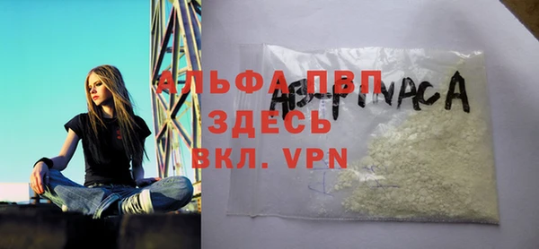 тгк Абаза
