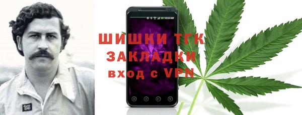 шишки Абинск
