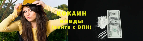 тгк Абаза