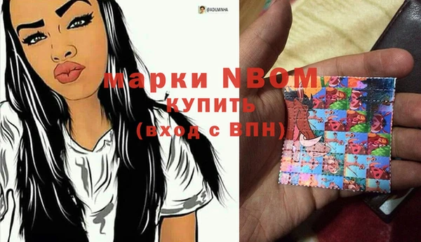 apvp Алзамай