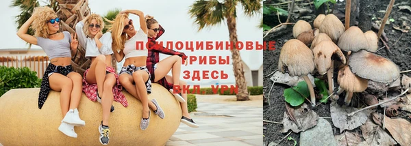 шишки Абинск