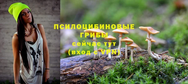 шишки Абинск