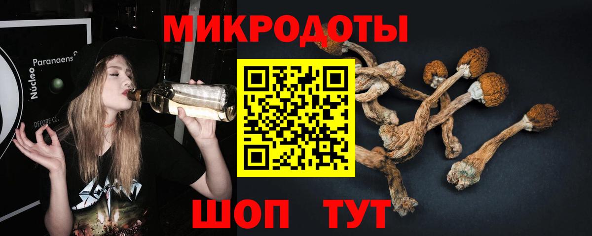 Псилоцибиновые грибы прущие грибы  Вход с VPN  Знаменск 